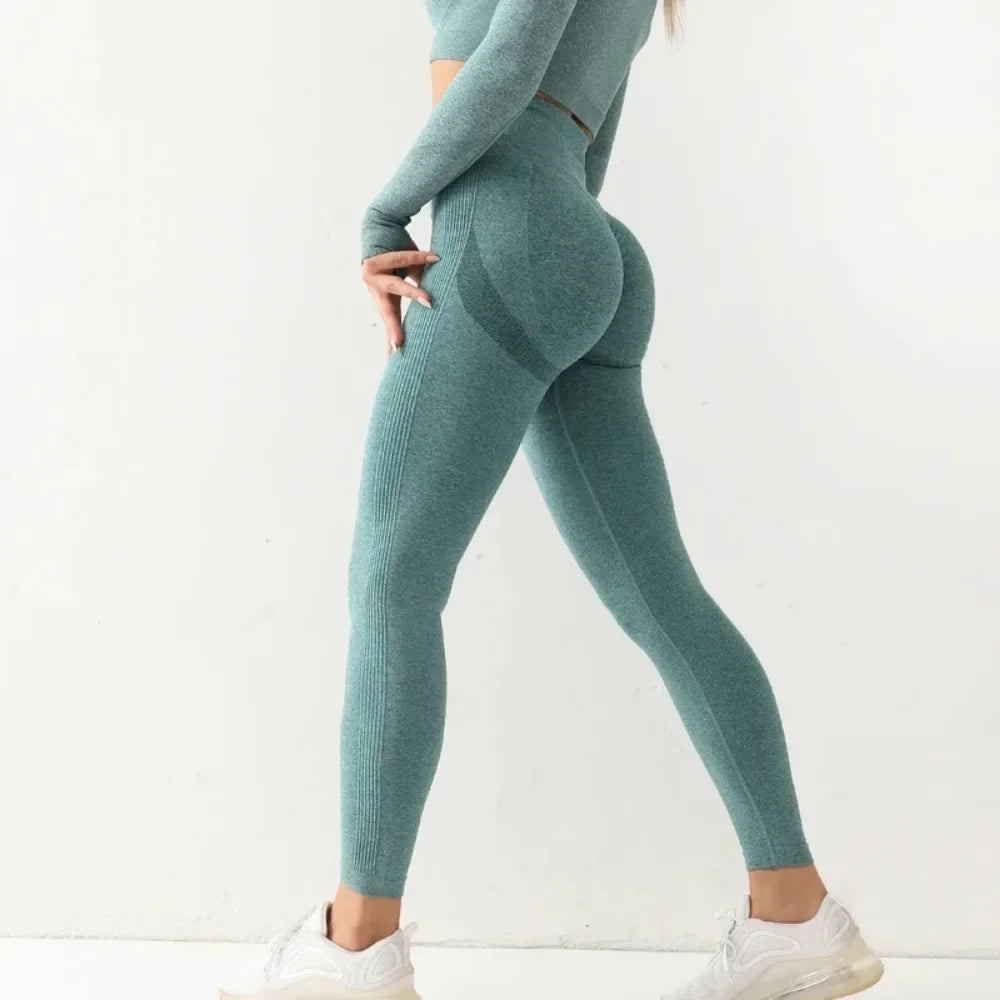 11.. Seamless Fitness Candy