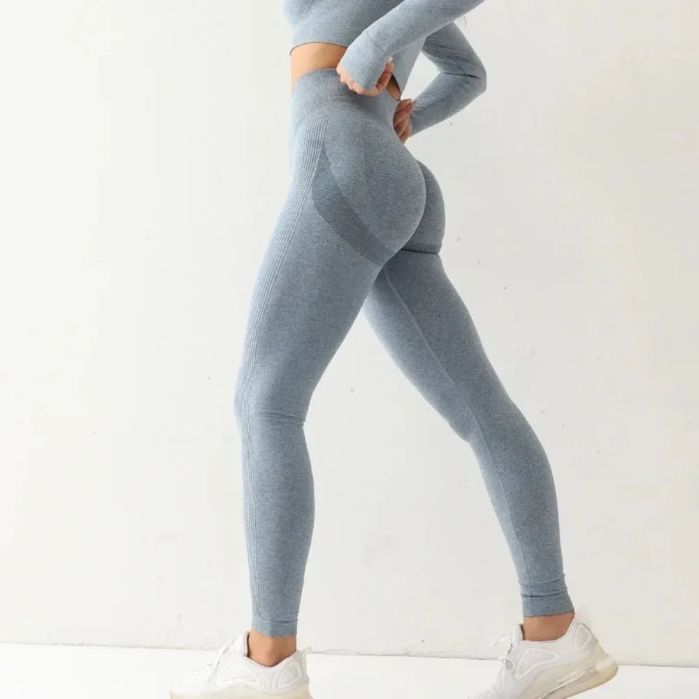 11.. Seamless Fitness Candy